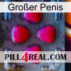 Großer Penis 13